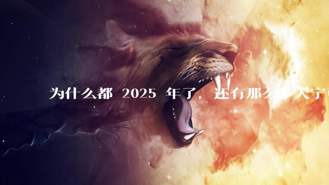 为什么都 2025 年了，还有那么多人宁可双持，也不愿意放弃安卓或非安卓手机？