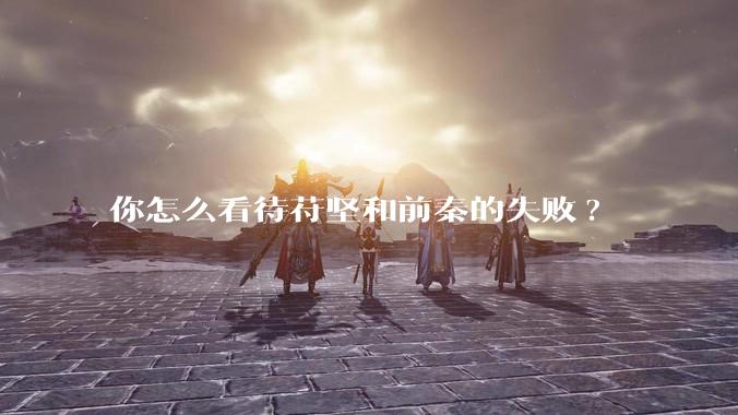 你怎么看待苻坚和前秦的失败?