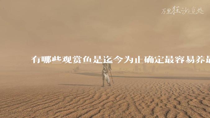 有哪些观赏鱼是迄今为止确定最容易养最不容易死的？