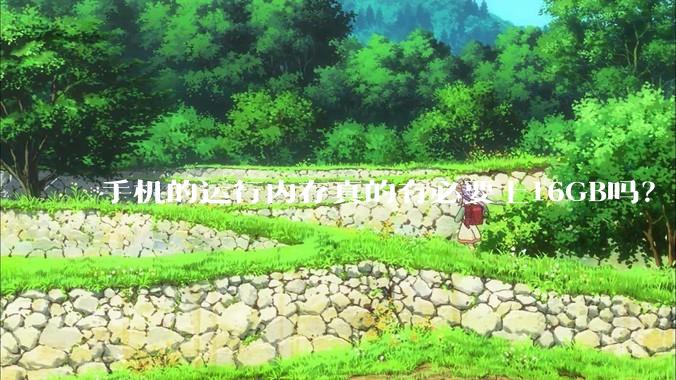 手机的运行内存真的有必要上16GB吗？