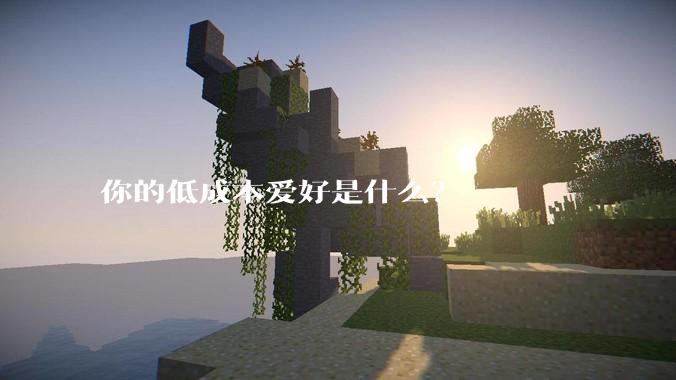 你的低成本爱好是什么？