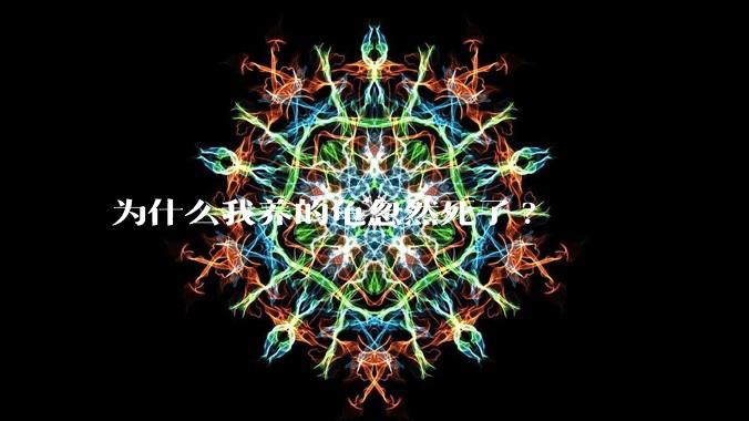 为什么我养的龟忽然死了?