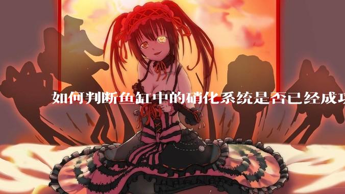 如何判断鱼缸中的硝化系统是否已经成功建立？