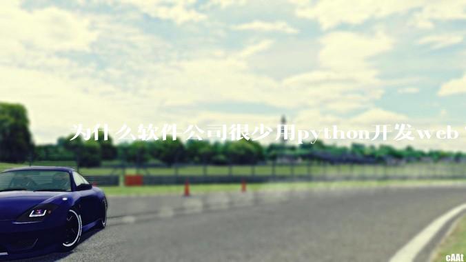 为什么软件公司很少用python开发web?